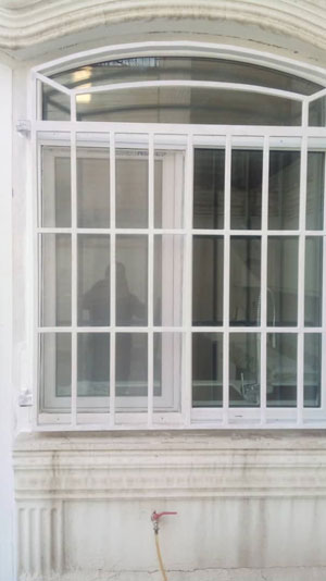 نمونه های شاخ