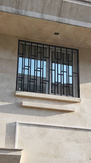 نمونه های شاخ