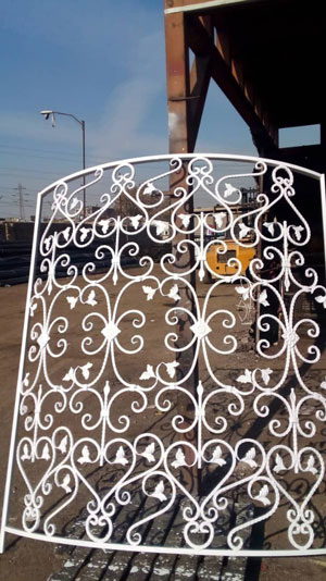 نمونه های شاخ