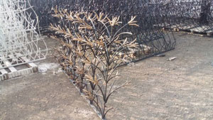 شاخ گوزنی طرح لیلیوم