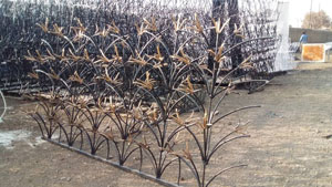 شاخ گوزنی طرح لیلیوم