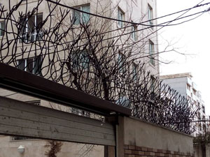 شاخ گوزنی طرح مارال