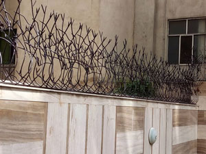 شاخ گوزنی طرح مارال