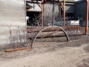 شاخ گوزنی طرح مارال