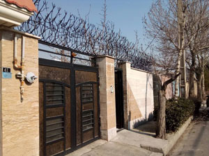 شاخ گوزنی طرح مارال